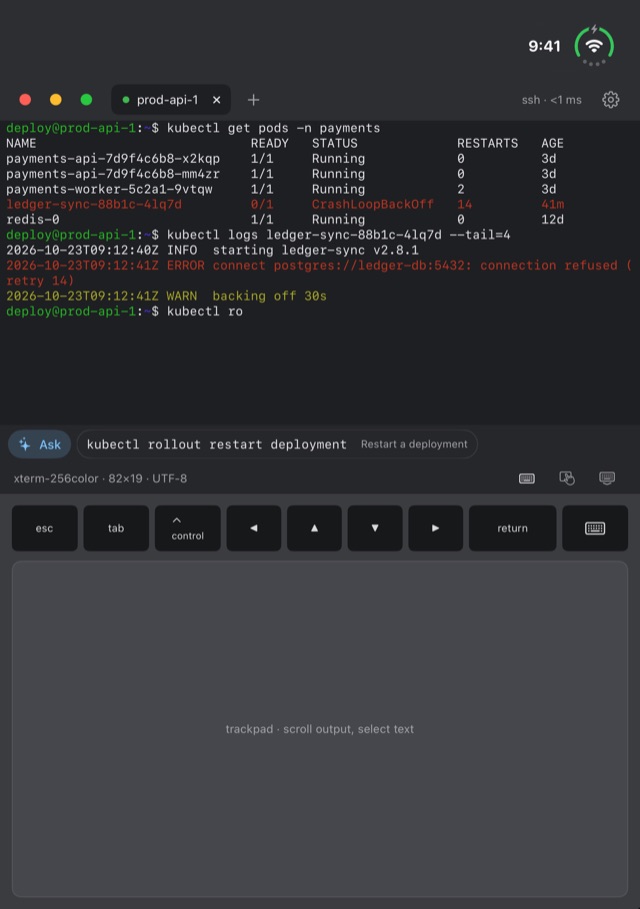 Fold Terminal on iPhone Duo: the bottom half switched to a large trackpad with esc, tab, control, arrow and return keys